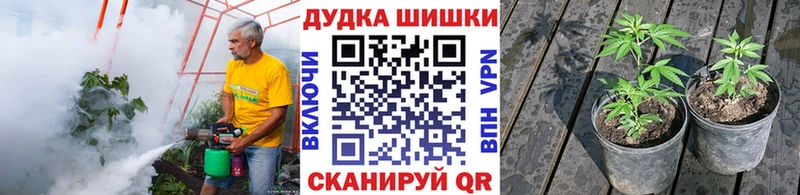 Где купить наркотики Анадырь Лсд 25  Конопля  Alpha PVP  Меф мяу мяу  Гашиш  АМФЕТАМИН 