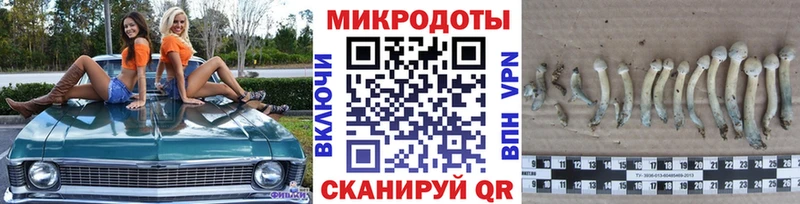 Псилоцибиновые грибы прущие грибы  где купить   Анадырь 